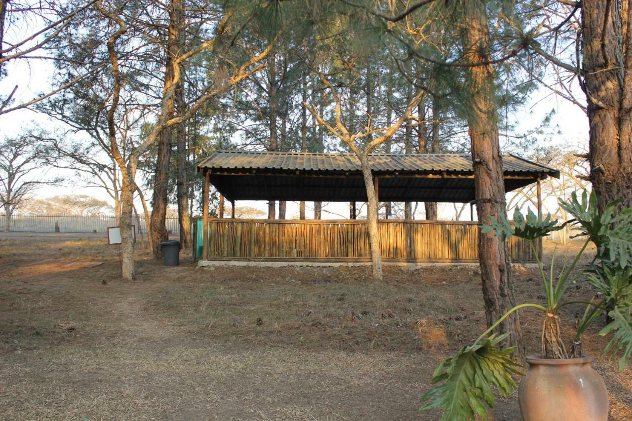 Acacia Bush Lodge Pietermaritzburg Ngoại thất bức ảnh