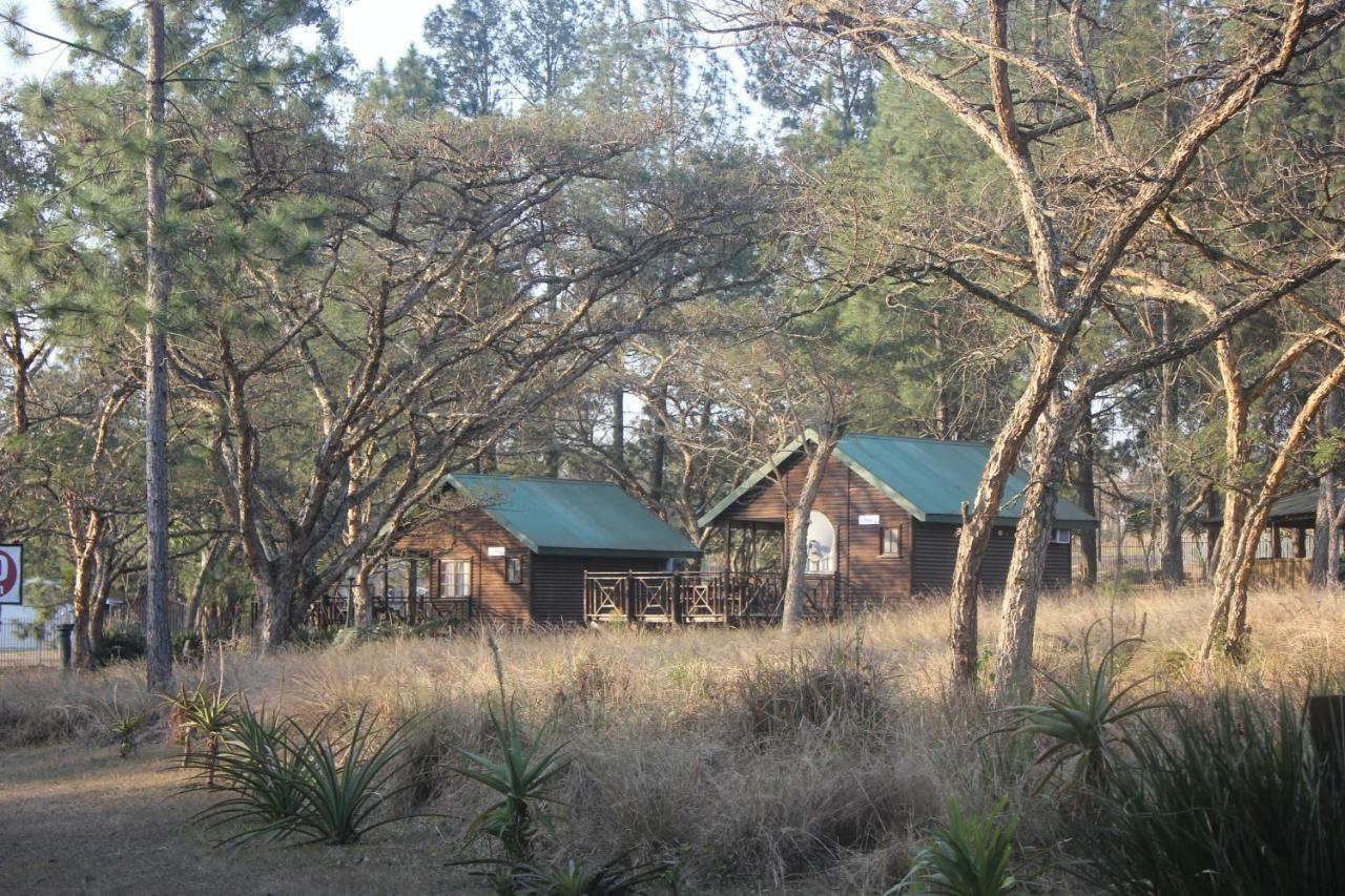 Acacia Bush Lodge Pietermaritzburg Ngoại thất bức ảnh